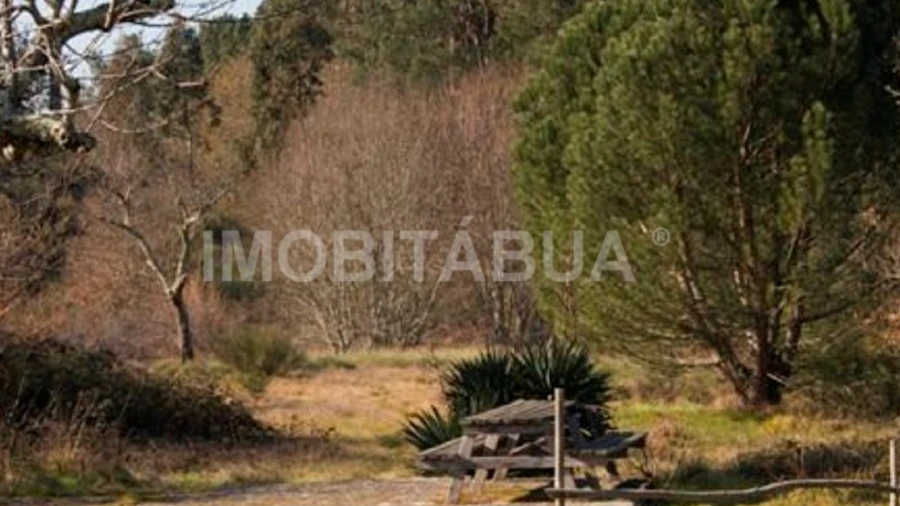 Terreno para Venda em São João da Boa Vista