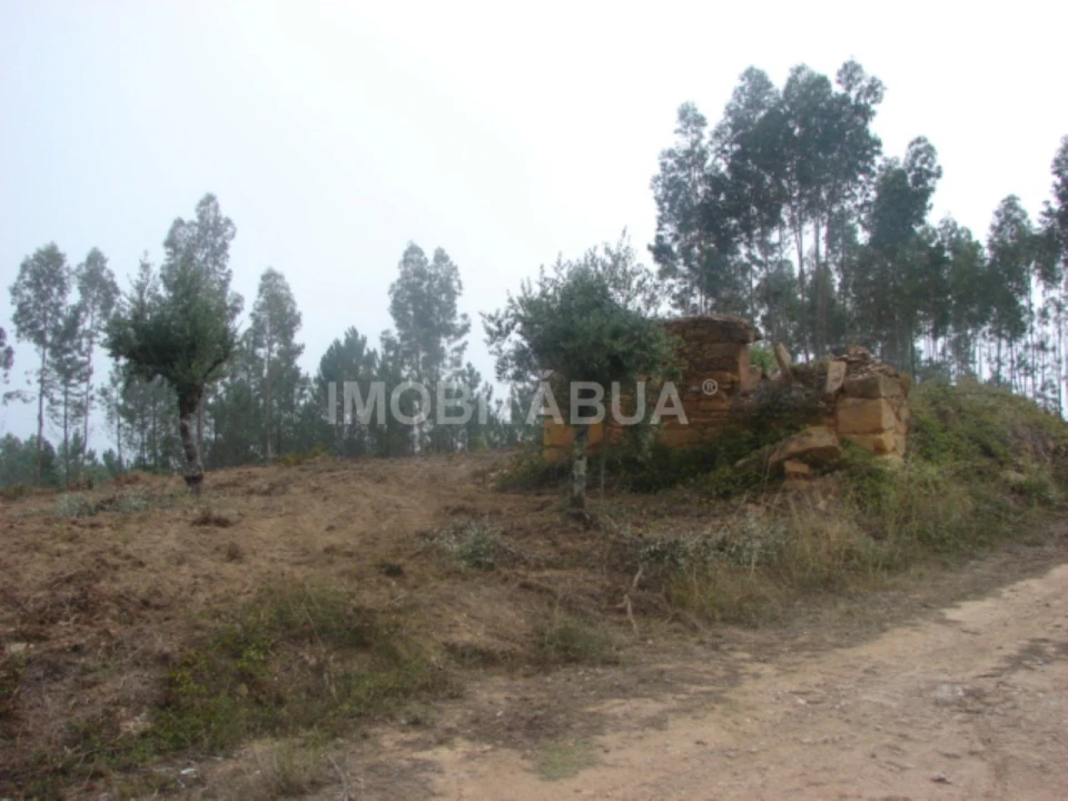 Terreno para Venda em Ázere e Covelo Foto 4