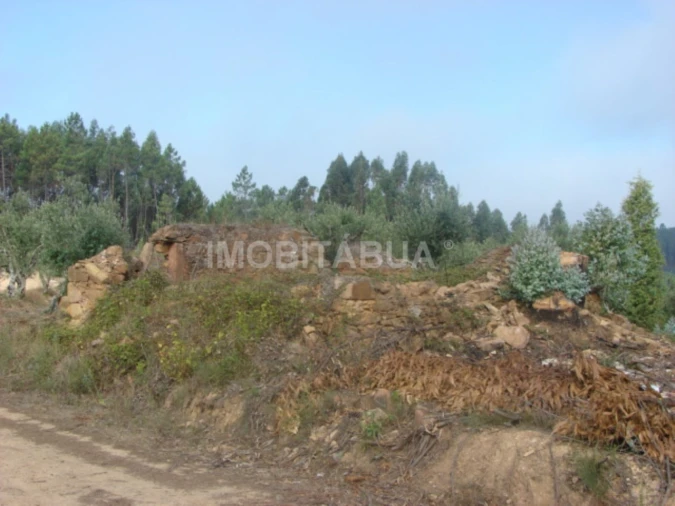 Terreno para Venda em Ázere e Covelo Foto 3