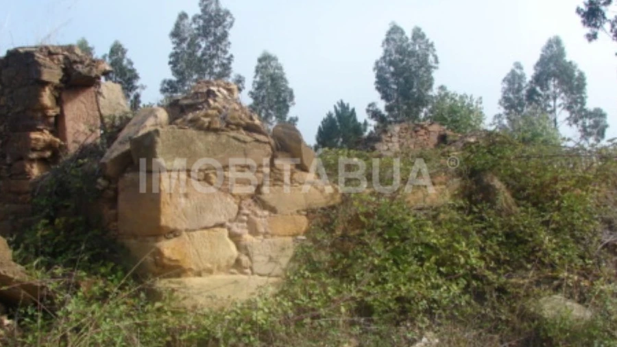 Terreno para Venda em Ázere e Covelo