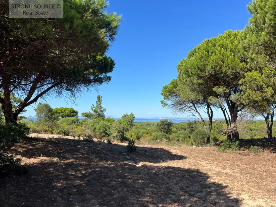 Terreno para Venda em Sesimbra (Castelo) Foto 18