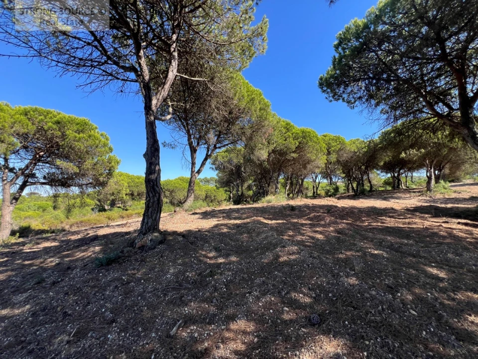 Terreno para Venda em Sesimbra (Castelo) Foto 23