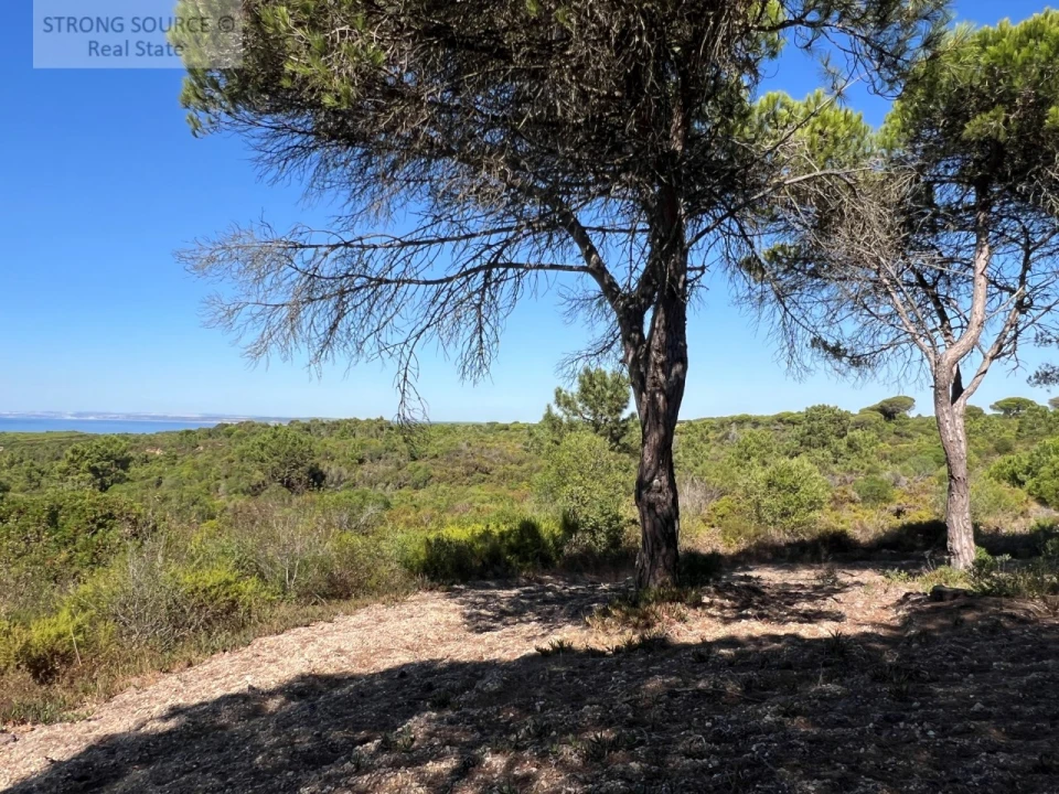 Terreno para Venda em Sesimbra (Castelo) Foto 25