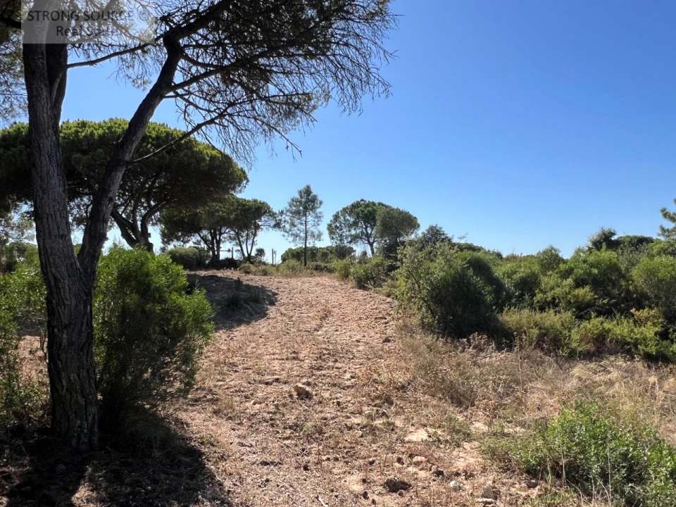 Terreno para Venda em Sesimbra (Castelo) Foto 26