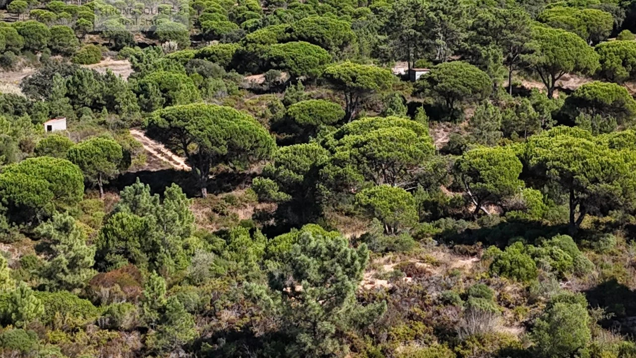Terreno para Venda em Sesimbra (Castelo) Foto 30