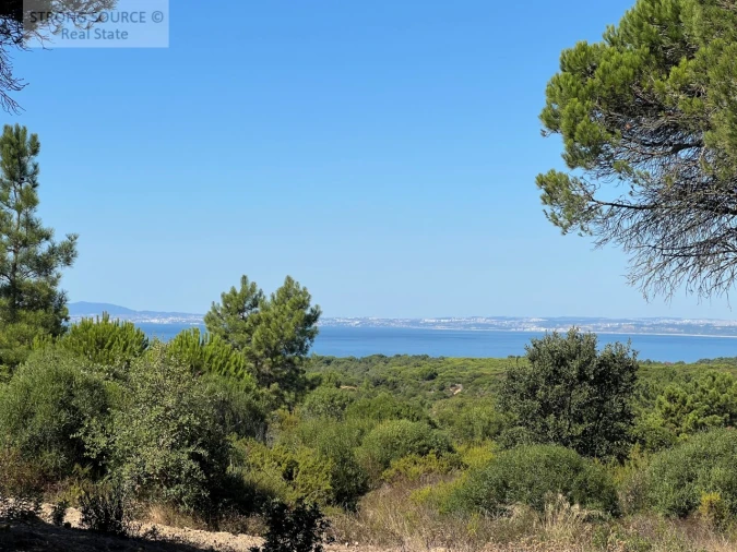 Terreno para Venda em Sesimbra (Castelo) Foto 13