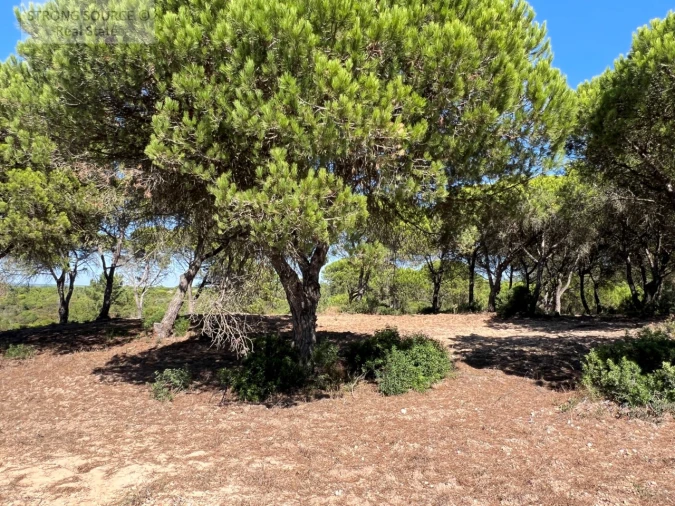 Terreno para Venda em Sesimbra (Castelo) Foto 21
