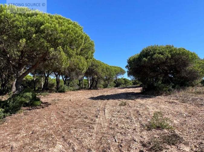 Terreno para Venda em Sesimbra (Castelo) Foto 22