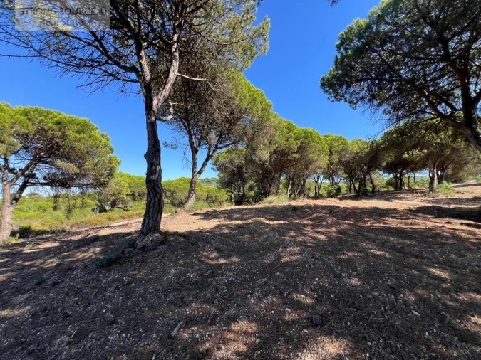 Terreno para Venda em Sesimbra (Castelo) Foto 23
