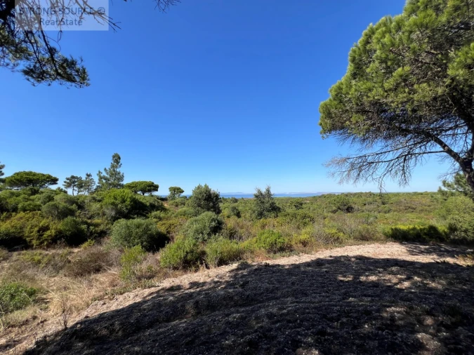 Terreno para Venda em Sesimbra (Castelo) Foto 24
