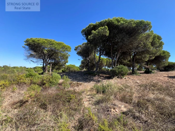 Terreno para Venda em Sesimbra (Castelo) Foto 27