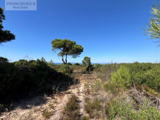 Terreno para Venda em Sesimbra (Castelo) Foto 28