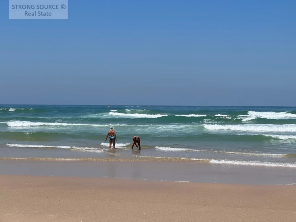 Terreno para Venda em Ferrel Foto 60