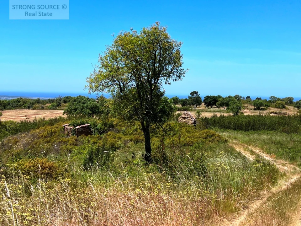 Terreno para Venda em Melides Foto 4