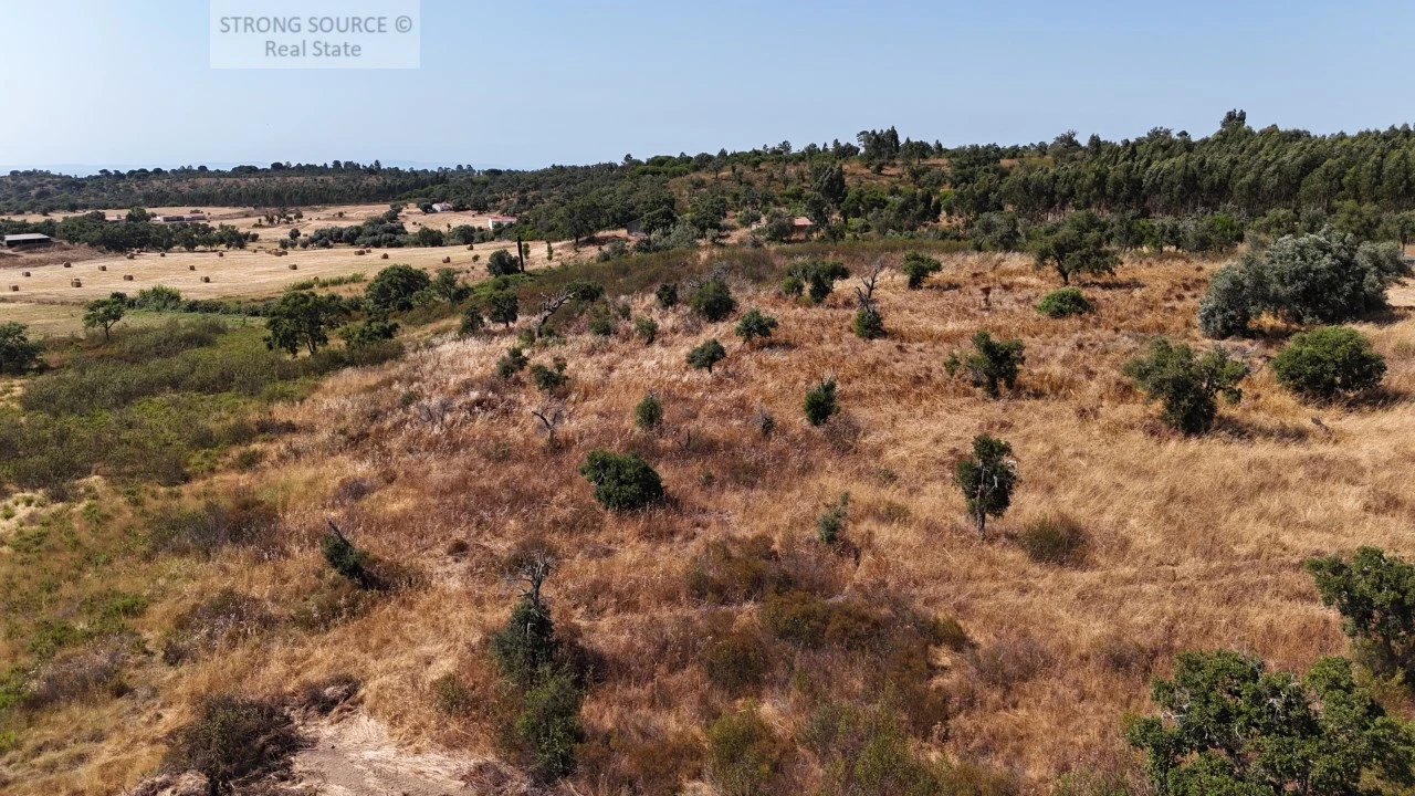 Terreno para Venda em Melides Foto 14