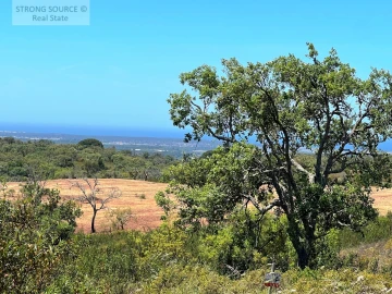Terreno para Venda em Melides