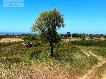 Terreno para Venda em Melides