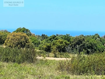 Terreno para Venda em Melides