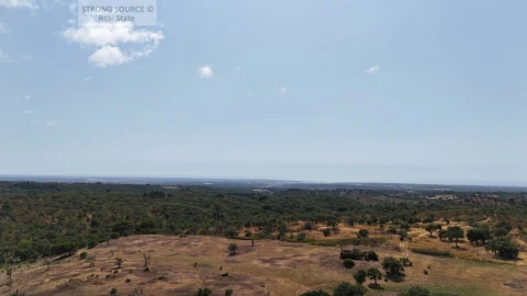 Terreno para Venda em Melides