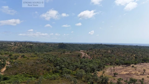 Terreno para Venda em Melides