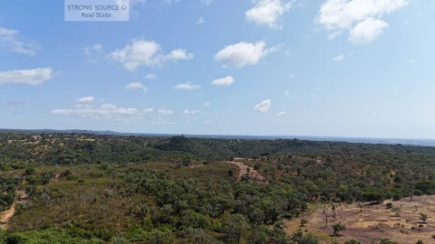 Terreno para Venda em Melides