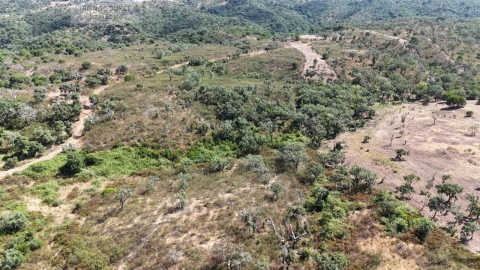 Terreno para Venda em Melides
