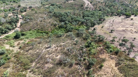Terreno para Venda em Melides