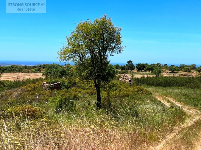 Terreno para Venda em Melides Foto 4