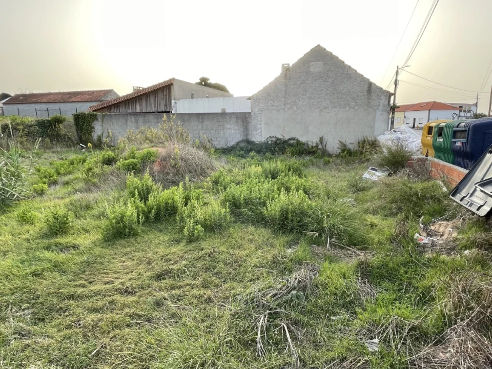 Terreno para Venda em Moita dos Ferreiros Foto 3