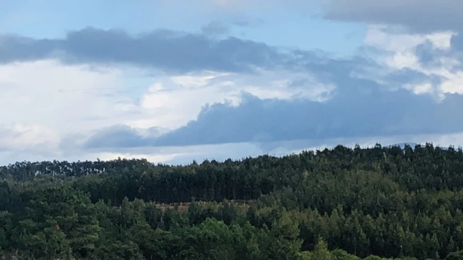 Terreno para Venda em Ramalhal