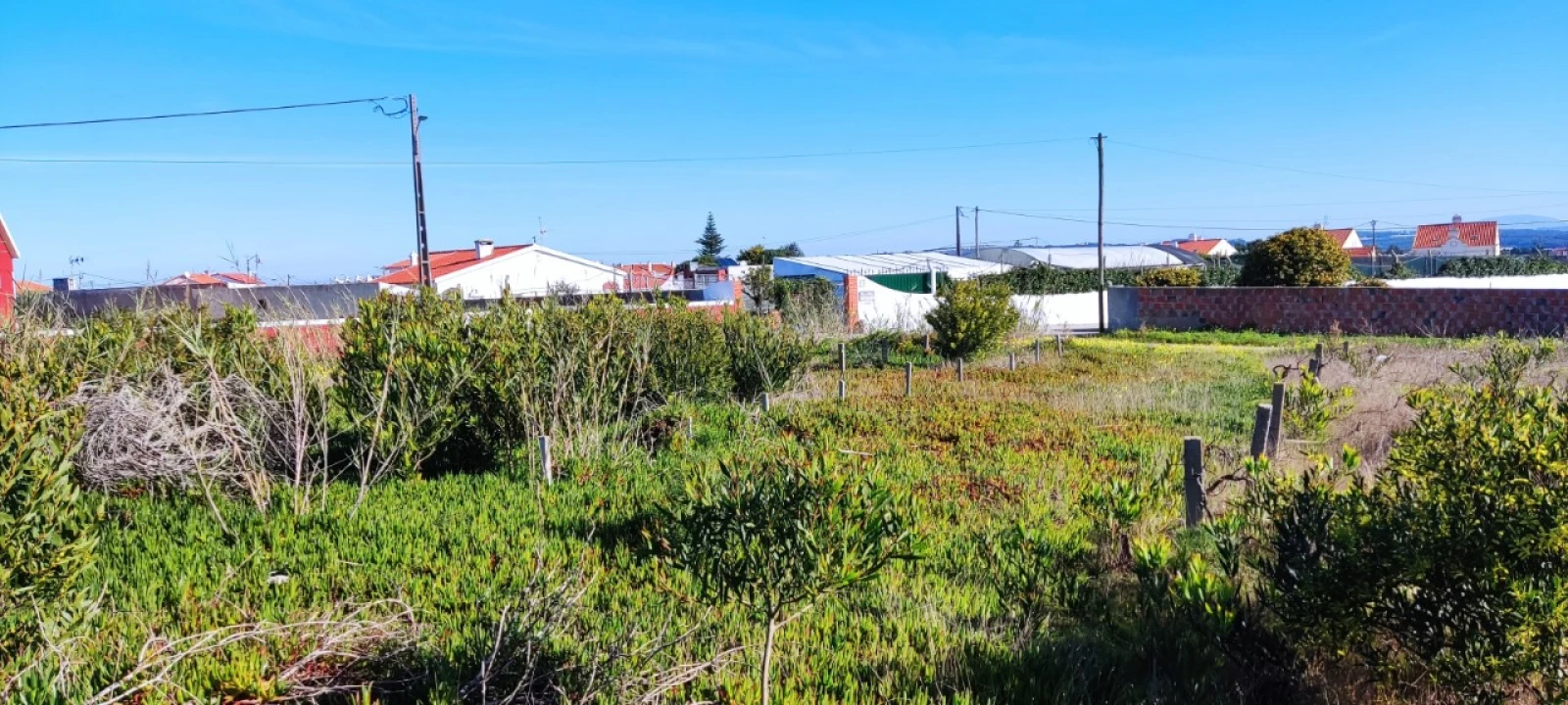 Terreno para Venda em Silveira Foto 7