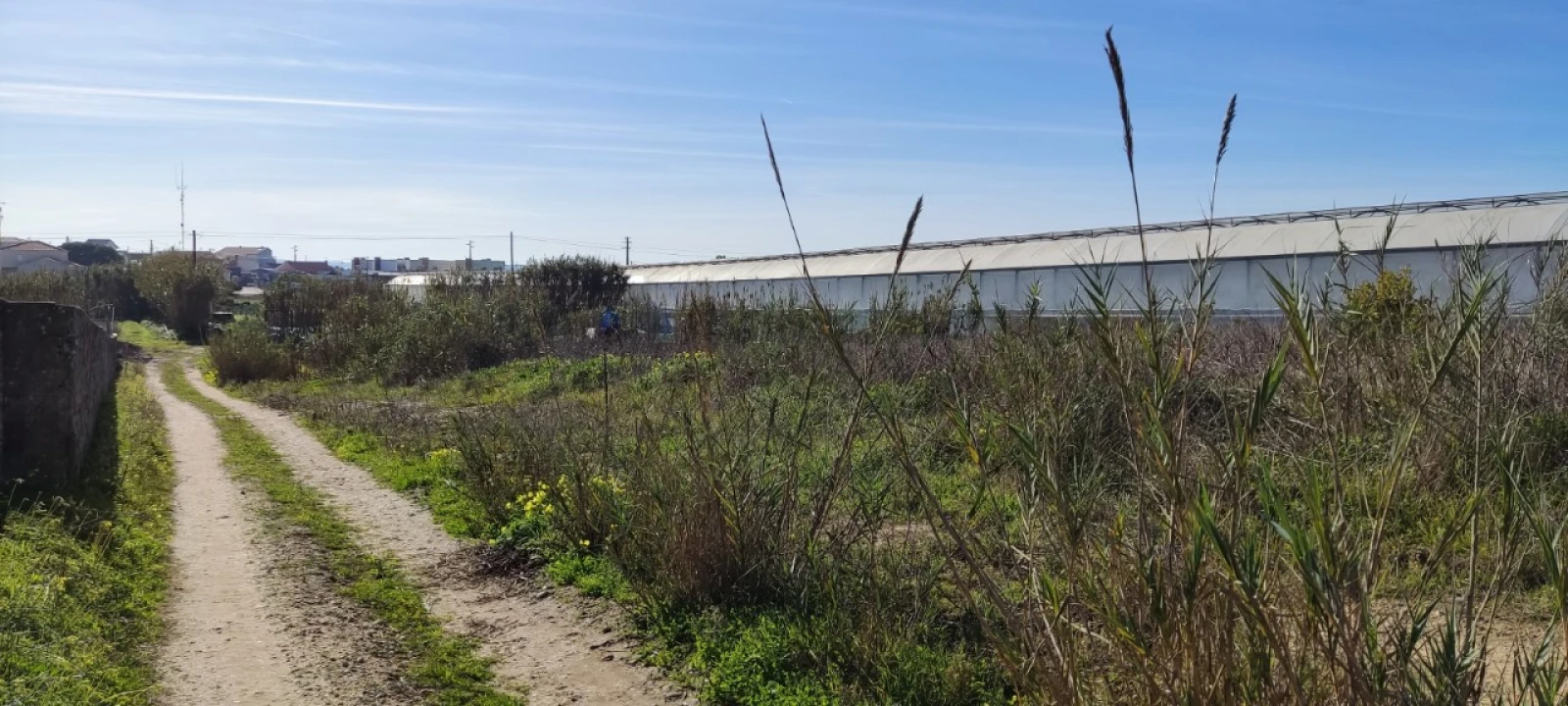 Terreno para Venda em Silveira Foto 8