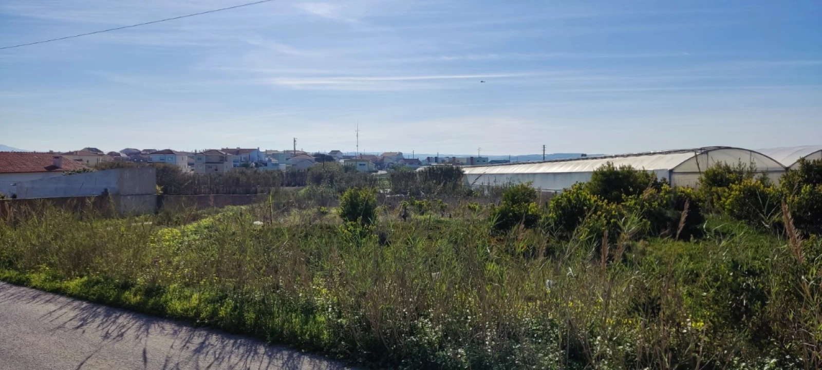 Terreno para Venda em Silveira Foto 9