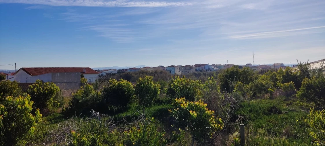Terreno para Venda em Silveira Foto 6