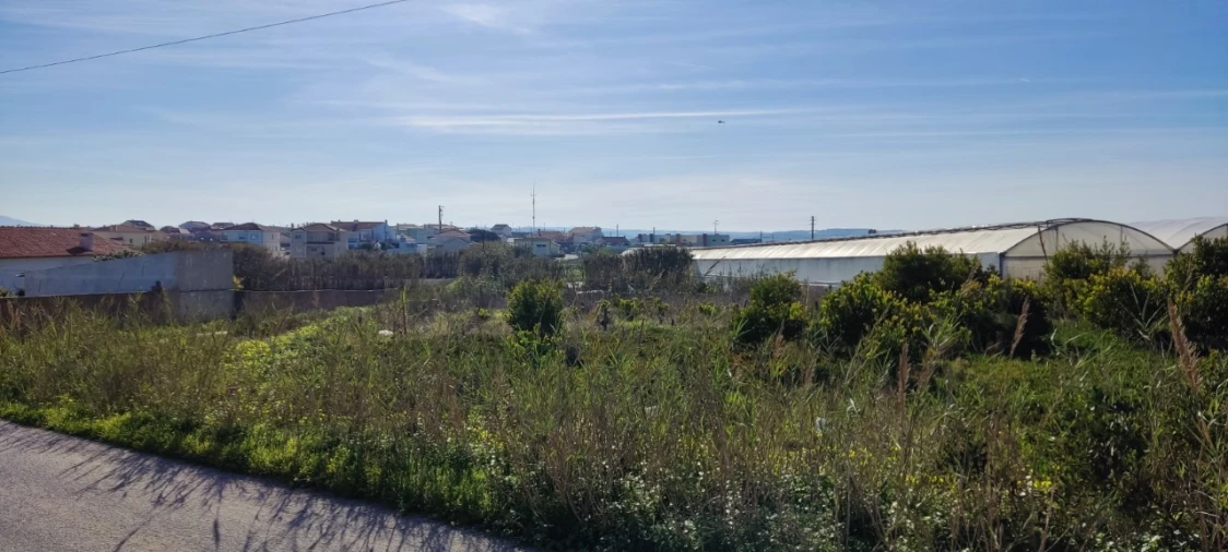 Terreno para Venda em Silveira Foto 9