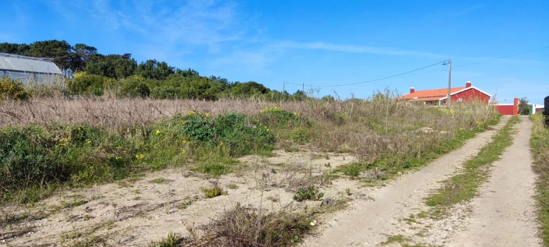 Terreno para Venda em Silveira Foto 11