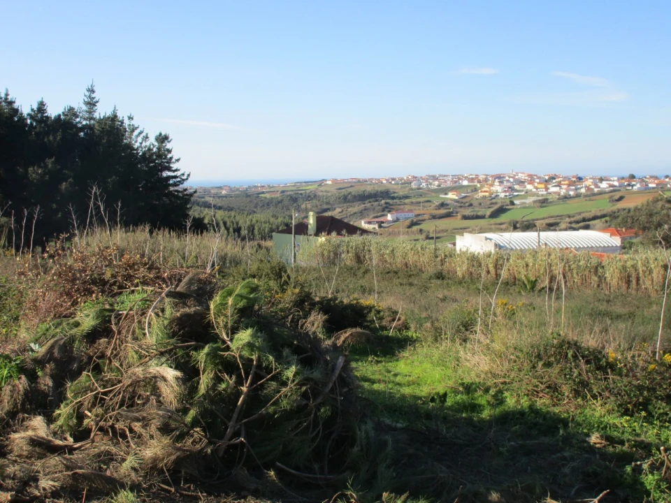 Terreno para Venda em Santa Barbara Foto 5