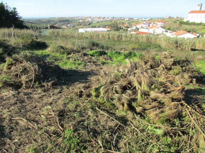 Terreno para Venda em Santa Barbara Foto 2
