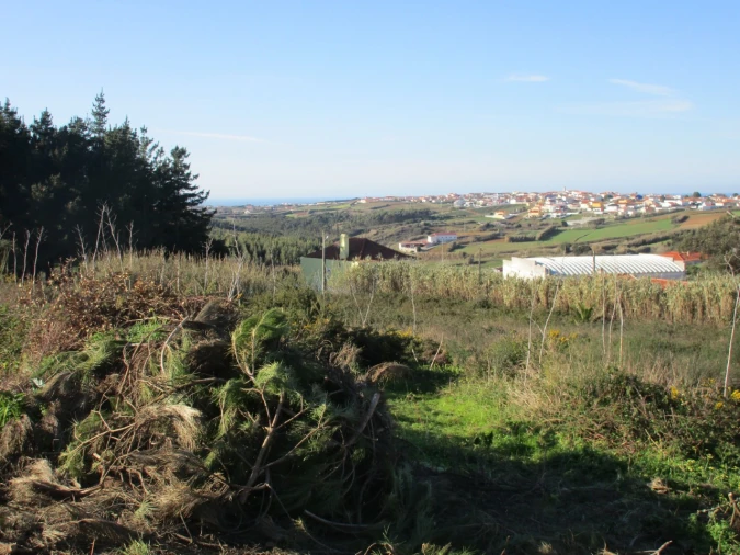 Terreno para Venda em Santa Barbara Foto 5