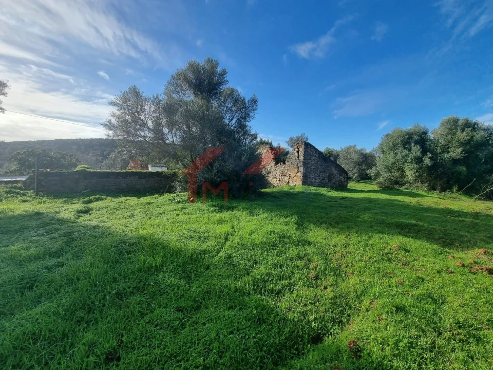 Terreno para Venda em Loule (São Clemente) Foto 5