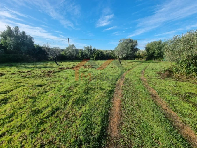 Terreno para Venda em Loule (São Clemente) Foto 4