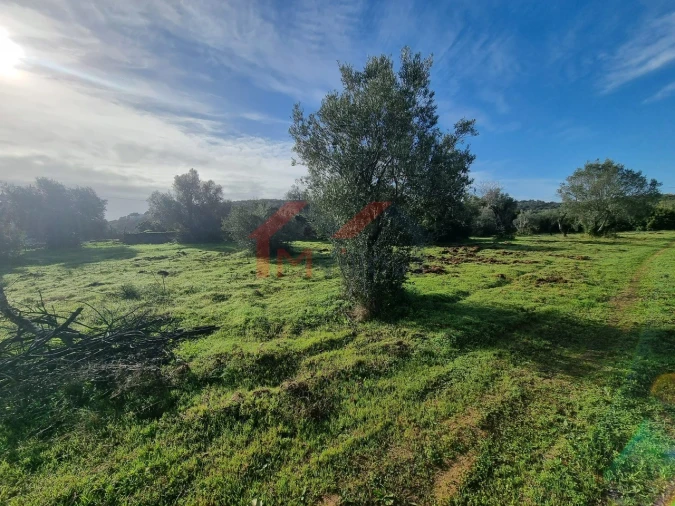 Terreno para Venda em Loule (São Clemente) Foto 6