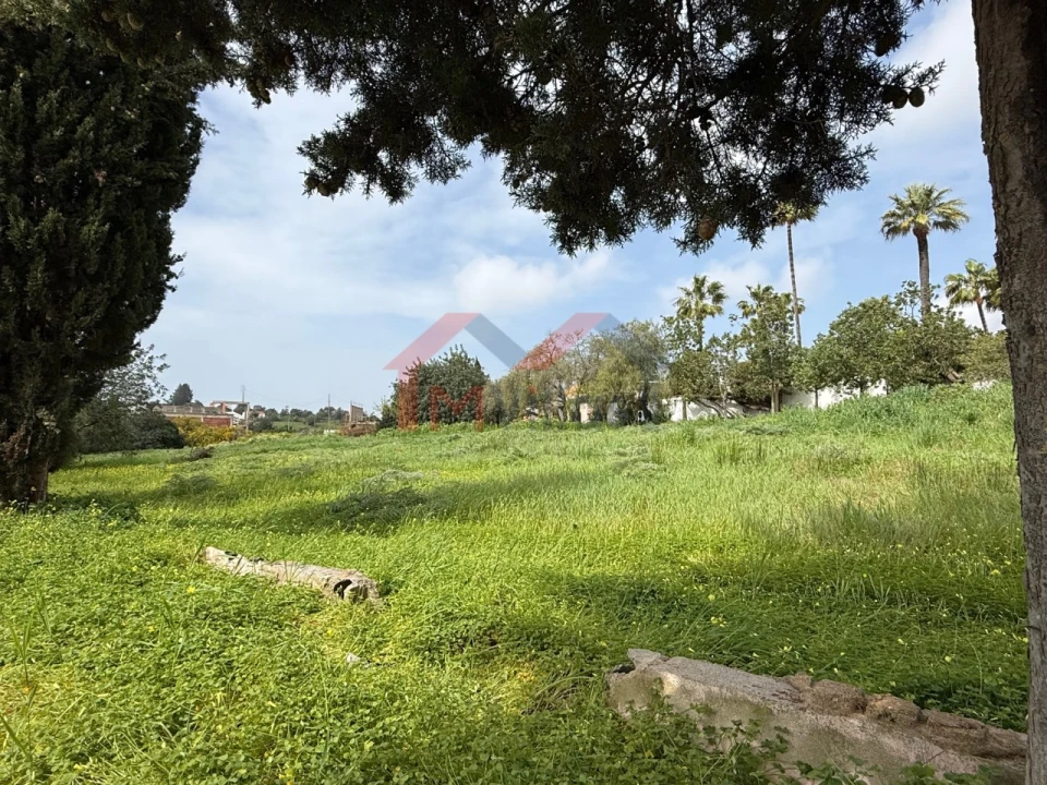 Terreno para Venda em Almancil Foto 9