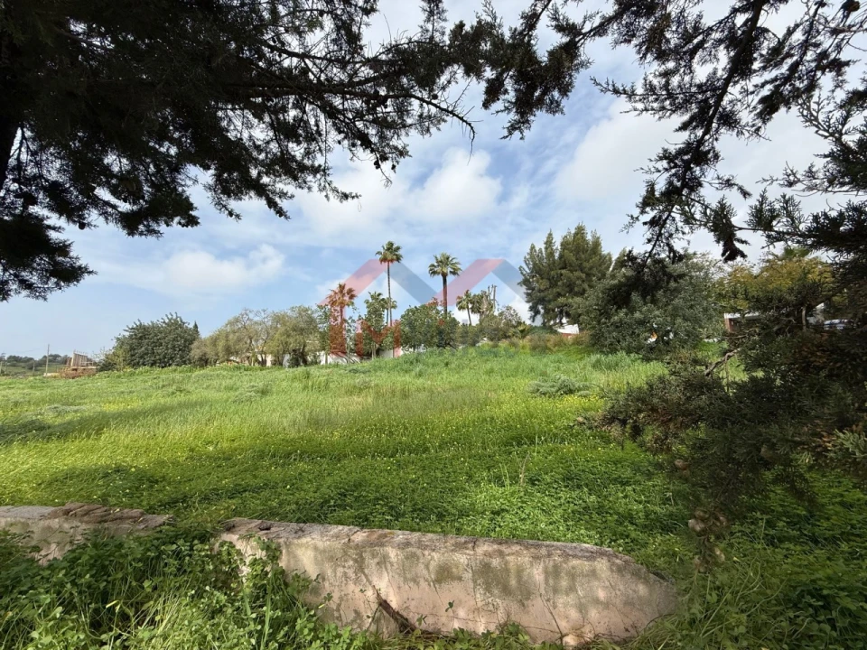 Terreno para Venda em Almancil Foto 11