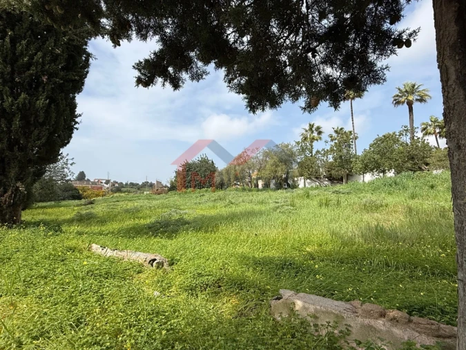 Terreno para Venda em Almancil Foto 9