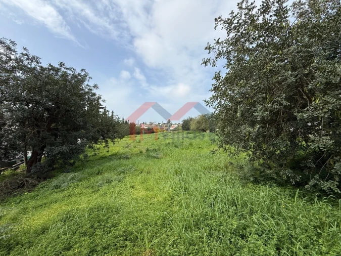 Terreno para Venda em Almancil Foto 10