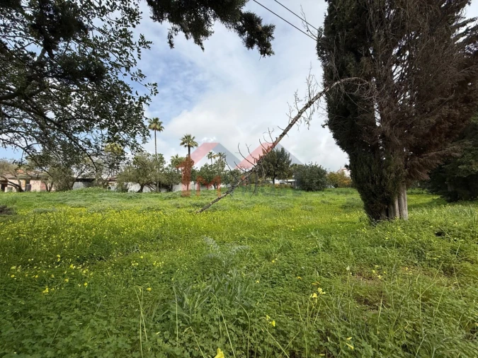 Terreno para Venda em Almancil Foto 12