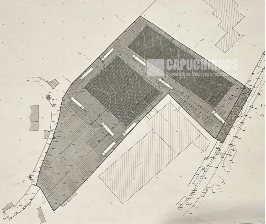 Terreno para Venda em Santa Maria e São Miguel, São Martinho, São Pedro Penaferrim Foto 2