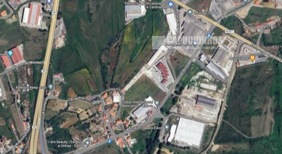 Terreno para Venda em Santa Maria e São Miguel, São Martinho, São Pedro Penaferrim