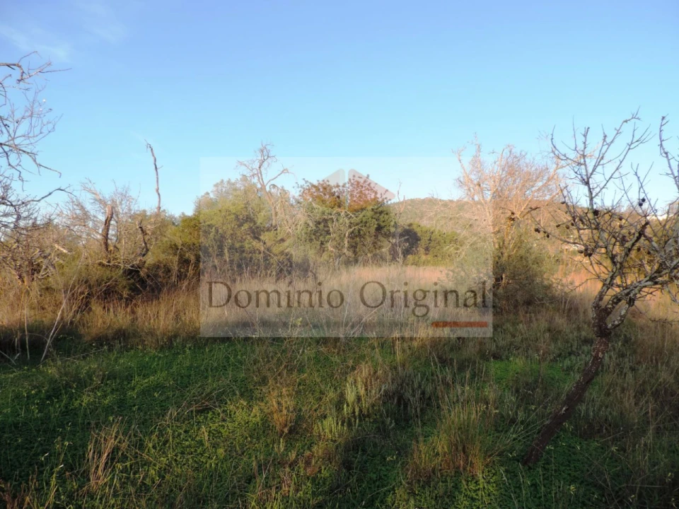 Terreno Agricola ou Rústico para Venda em Loule (São Clemente) Foto 4